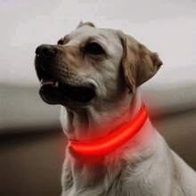 1pc Adjustable Luminous Striped Dog/Cat Collar, Pet Safety Glow Collar For Nighttime