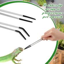 2pcs Straight And Bent Stainless Steel Pet Feeding Tongs, Reptile Food Tools With Rubber Tips, Suitable For Reptiles, Lizards, Geckos, Spiders, Snakes, Aquarium