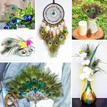 5pcs 12 Inch Natural Peacock Feathers, Suitable For Vase Filler, Home Decor Accents, Ideal For DIY Crafts, Wedding Decoration, Home And Party Embellishment, Floral Arrangement, Party Decorative Pieces