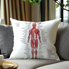 1pc/2pcs Minimalist Human Anatomy Print Decorative Throw Pillow Covers [No Pillow Insert], 11.81*19.71in(30*50cm)/17.7*17.7in(45*45cm), [Single-Sided Print] Polyester Cushion Covers For Sofa, Bed, Living Room, Bedroom, Car, Office, Hotel Decor, All Seasons, Perfect Gift For Family & Friends