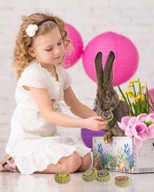 MOTOMATE Timothy Hay Treats Natural Chews For Teeth Handmade Rabbit, Chinchilla, Gerbil, Rat, Hamster Toys Bunny & Guinea Pig Toys, 12Pcs - 綠色 - 查看 8