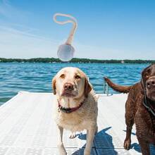 Juguete de mascota, bola de tenis anudada, juguete para masticar, cuerda de tira y afloja, juguetes interactivos para mascar para perros y cachorros - Multicolor - Ver 6