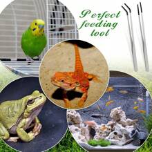 2pcs Straight And Bent Stainless Steel Pet Feeding Tongs, Reptile Food Tools With Rubber Tips, Suitable For Reptiles, Lizards, Geckos, Spiders, Snakes, Aquarium
