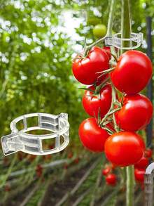 Tomato Clips, Plastic Trellis Clips, Plant Support Clips, Grape Vine Clips, Tomato Vines, Vegetable Plant Clips, Garden Clips, Seedling Fixing Clips, Make Plants Grow Upright And Healthier - Clear - View 1