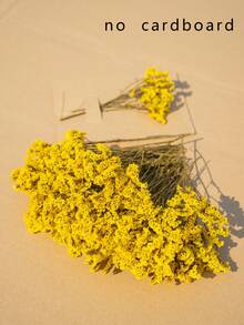 الأصفر (العشب الكريستالي)