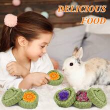 MOTOMATE Timothy Hay Treats Natural Chews For Teeth Handmade Rabbit, Chinchilla, Gerbil, Rat, Hamster Toys Bunny & Guinea Pig Toys, 12Pcs - 綠色 - 查看 5