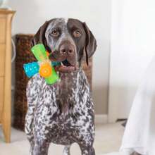 Outward Hound Triple Jack Interactive Multi-Squeak Dog Toy - Khối lập phương - Xem 7