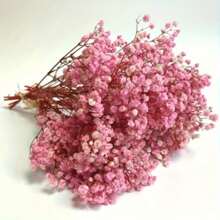 100pcs Delicate Dried Pink Baby's Breath Flowers, Suitable For Vase Filler, Wedding Decor, Home & Office Decoration, Party, Garden, Card Making, DIY Floral Arrangement