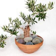 Natural River Rocks, Premium Pebbles For Garden And Landscape Design,Painting Rocks, River Rocks To Paint For Arts,Hand-Picked Smooth Stones For Fish Tank, Flower Pots, Indoor Water Fountains, Pathways, Backyar - View 5