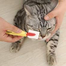 1 set de brosse pour les yeux d'animal de compagnie avec caoutchouc doux, 1 brosse pour enlever les taches de larmes d'animal de compagnie avec manche, brosse facile à utiliser pour enlever la saleté des yeux, convient pour les chats et les petits chiens