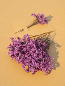 25/50/100/300 件迷你满天星花和其他干花 - 用于树脂模具艺术工艺品，象牙白花束，可用作发饰、婚礼花环、桌花瓶、家居装饰 - 淺粉紅色(水晶草) - 查看 5