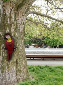 تمثال ببغاء راتنجي قديم: تمثال ببغاء راتنجي جذاب قابل للتعليق لديكور الحديقة والحديقة الخلفية والشرفة، مثالي لعيد الفصح