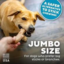 Outward Hound By  Super Dogwood Durable Dog Chew Toy, Small - Long Lasting Chew Sticks Made Of Natural Wood - USA Made - Small (Pack of 1) - 查看 4