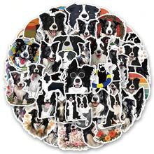 50 件边境牧羊犬贴纸乙烯基美学贴纸剪贴簿、日记、保险杠、滑板、水瓶、卡通、安全帽、汽车贴纸和贴花 - 彩色 - 查看 1
