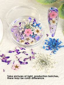 1 盒紫蓝花朵美甲花卉图案 DIY 指甲装饰满天星人造花精致花瓣 DIY 装饰女士夏季 DIY 饰品美甲配件