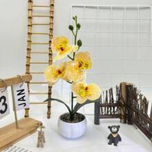 1盆仿真蝴蝶兰盆栽，逼真蝴蝶兰花装饰，家居装饰摆件，适用于婚礼、派对、壁炉、卧室墙面、桌面、万圣节、圣诞节等场合。 - 彩色 - 查看 12