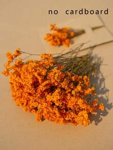 25/50/100/300 件迷你满天星花和其他干花 - 用于树脂模具艺术工艺品，象牙白花束，可用作发饰、婚礼花环、桌花瓶、家居装饰 - 橙色(水晶草) - 查看 1