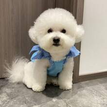 Early Autumn Dopamine Pet Vest, Cute Bow Tie Colorful Breathable Thin Vest For Dogs And Cats, For Pomeranian And Bichon Frise