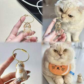 Transparante opbergdoos met kattenhaar, capsule met kattenhaar, emotionele hanger, sleutelhanger-tashanger, klein cadeau voor familie en vrienden, cadeau voor de feestdagen/verjaardagscadeaus