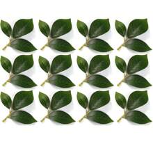 12 Pcs Fake Lemon Limes Artificial Fruits Yellow Green Faux Lemon Limes Mix Set With 10 Pcs Leaves 1 Pc Woven Basket Lifelike Fake Fruits Decor For Kitchen Party Table Photo Prop Home