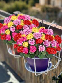 4/8pcs Artificial Geranium Outdoor Silk Flowers, Fake Geranium Bushes, Suitable For Home Floral Decor, Indoor Garden, Patio, Grave, Vase, Tabletop Decoration - Multicolor - View 5