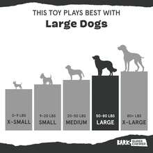 Barkbox Grey Bear Hugger Super Chewer 2-In-1 Plush Exterior Hard Core Plush Toy, Large Breeds - 灰熊-大號 - 查看 6