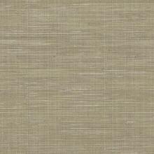 Wall Paper - Neutral - View 13