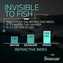 Seaguar 101 Basix - Línea de Pesca 100% fluorocarbono, Transparente - 15 libras - Ver 5