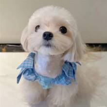 Early Autumn Dopamine Pet Vest, Cute Bow Tie Colorful Breathable Thin Vest For Dogs And Cats, For Pomeranian And Bichon Frise