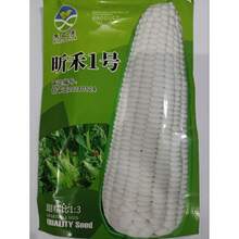 White Sweet Waxy Corn Mais Vegetable Seeds ( 30 Seeds ) - Basic Farm House - 1 - View 2
