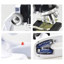 Upright Optical Microscope With LED Light 100x 600x 1200x Educational Toy Easy Operation For Observe Cells, Crystals, Insects, Microorganisms - 白色 - 查看 2