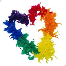 GRUPO CARNAVALLIA Boa Accessory Soft Feathers Pride Party  Pride Plush Arociris - 彩色 - 查看 9