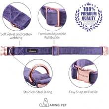 Local Delivery-ARING PET Velvet Dog Collar And Leash Set, Soft Purple Dog Collar And Leash, Adjustable Collars For Dogs - 紫色 - View 2
