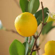 25.98Inch Artificial Lemon Branch Yellow Fruit Lemon Branch Long Stem Green Plant Leaves Suitable For Farmhouse Family Kitchen Vase Wedding Party Home Decoration