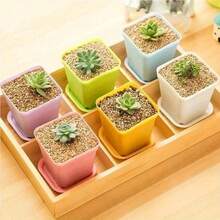 1pc/5pcs Seedling Pot Small Flower Pot Succulent Plastic Flower Pot Tray Home Office Garden Decoration Color Random - random - View 2