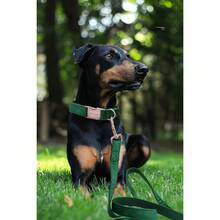 Local Delivery-ARING PET Velvet Dog Collar And Leash Set, Soft Purple Dog Collar And Leash, Adjustable Collars For Dogs - Dark Green - View 7