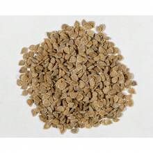 Premium Pack Cherry Millennial Tomato Vegetable Seeds ( 200 Seeds ) - Basic Farm House - 1 - View 2