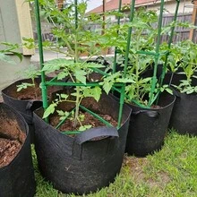 3 件/套大容量番茄种植袋，育苗种植袋，园艺风格种植袋，5 加仑，带手柄，X 缝线设计，抗撕裂，易于移动，适合室内外使用，非常适合庭院、花园、农场 - 黑色 - 查看 8