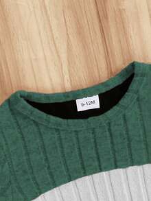 2pcs Baby Boy Round Neck Contrast Color Rib Knit Long Sleeve Top And Elastic Waist Casual Pants Set, Spring/Autumn - Green - View 3