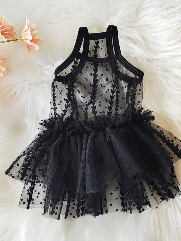 Black Lace Dress For Pet Birthday Party