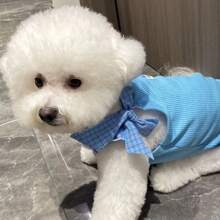 Early Autumn Dopamine Pet Vest, Cute Bow Tie Colorful Breathable Thin Vest For Dogs And Cats, For Pomeranian And Bichon Frise