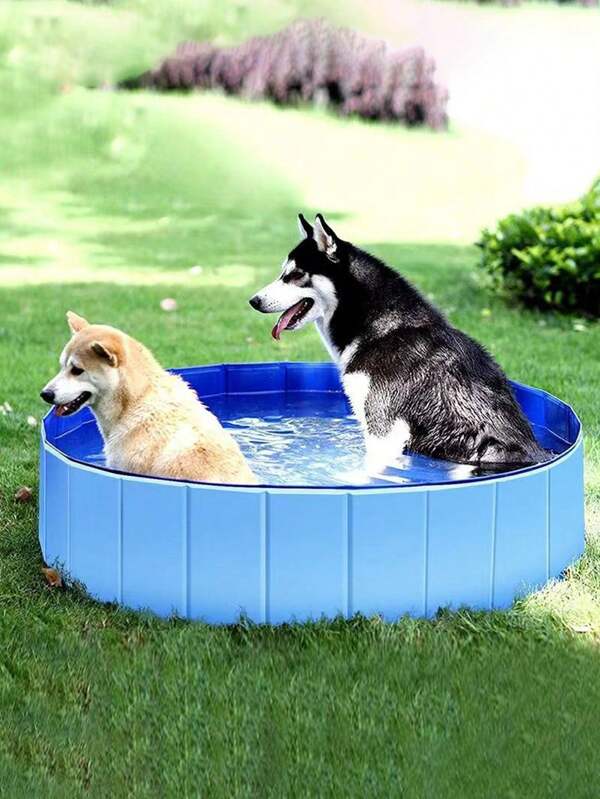 1pc Collapsible Dog Bath Pool, Hard Plastic Shell Portable Swimming Pool For Dogs - Indoor/Outdoor Fun, Suitable For Pet Swimming And Bathing, Perfect Holiday Gift