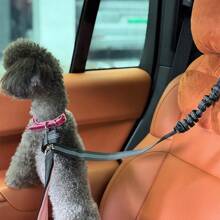 1pc Explosion-Proof Car Safety Dog Leash, Multi-Functional Dog Traction Rope, Automotive Safety Belt, Double-Sided Reflective, Retractable & Adjustable For Large Dogs