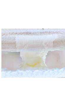 CALZON ADULTO AMERICANO PAQUETE 100 PIEZAS TALLA MEDIANO - Blanco - Ver 3