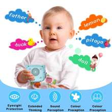 224 Words, Talking Flashcards For 1 2 3 4 Year Olds, Language Learning Toys, Pocket Speech Therapy Toys, Autism Toys, 31 Themed Montessori Toys,The Best Gift For Children For Halloween, Christmas, And New Year