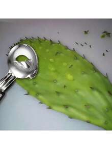 1/5 件套仙人掌削皮器套装 - 不锈钢水果蔬菜削皮器、勺子瓜球器和去籽器 - 适用于家庭和餐厅的易于使用的厨房小工具