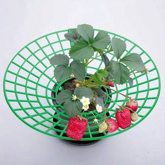 10pcs Green Strawberry/Watermelon Growing Trellis, 3-Legged Fixed Rack, Round Openings With Vertical Lines For Air Circulation, Rot-Resistant Garden Stand To Promote Healthy Growth And Fruiting