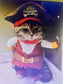 Disfraz de Mascota Perro Gato de Halloween, Disfraz de Capitán Pirata para Raza Pequeña de Perros como Teddy, Caniche