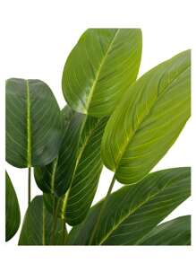 18 Fake Leavesartificial Plants Banana Trees Paradise Birds Tree Leaves Green Tropical Plants For Home Weddings Gardens Parties Simulated Potted Decorations