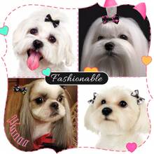 20pcs Random Pack Durable High-End Bowknot Pet Hair Accessories, Cat & Dog Headbands, Hair Ties In Black Series